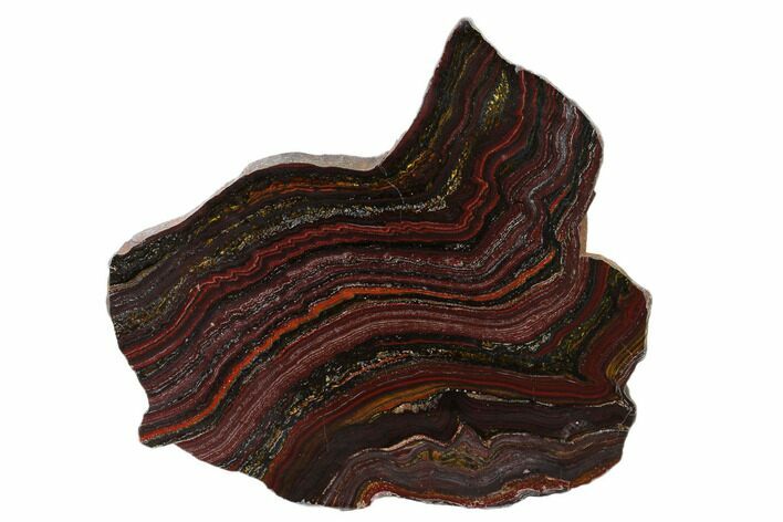 Polished Tiger Iron Stromatolite Slab - Billion Years #162101